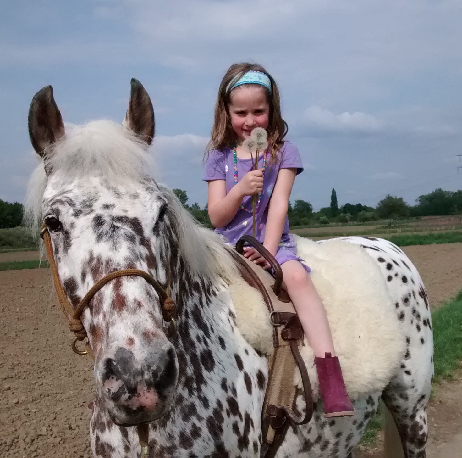 Kindergruppe_Schwalbennest_Reittherapie