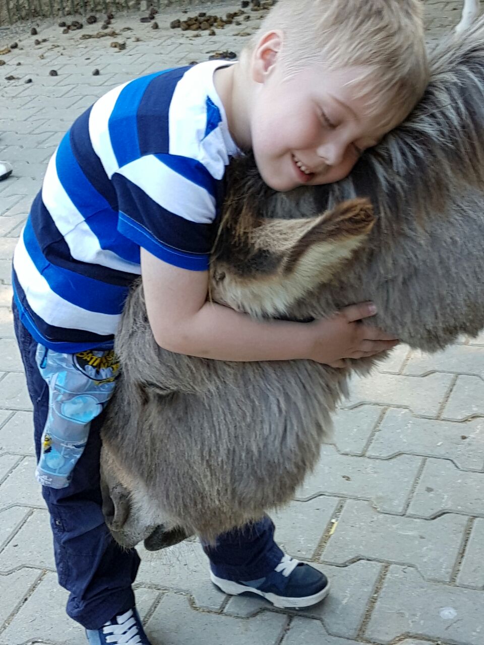 Schmusen mit dem Esel auf dem Irmengardhof