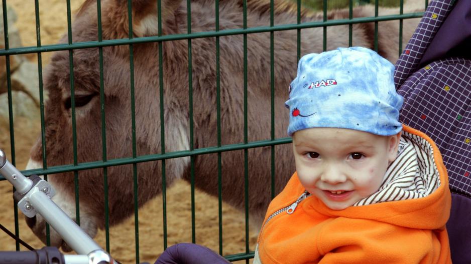 Björn Schulz Stiftung Foto. Kleines Mädchen mit Esel.