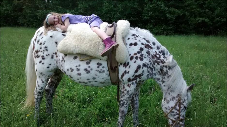 Reittherapie in der Kindergruppe Schwalbennest