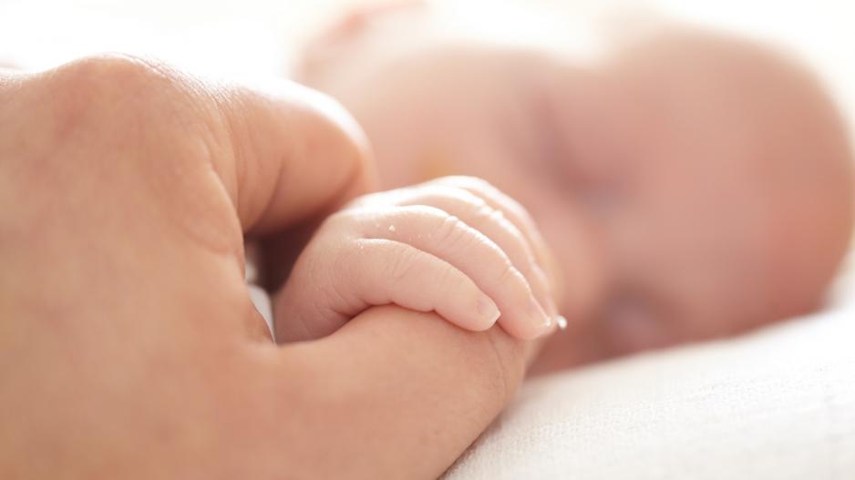 Babylotsen - Unterstützung von Anfang an Babylotsen - Unterstützung von Anfang an